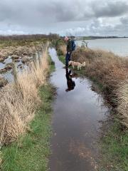Near Hamble Common